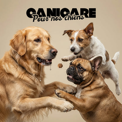 Vitamines - Canicare™